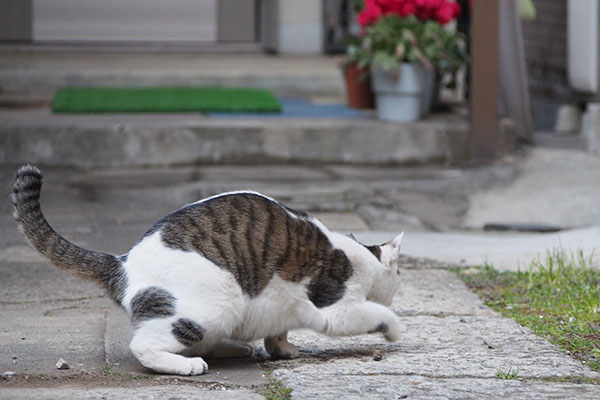 セイ　再びオン