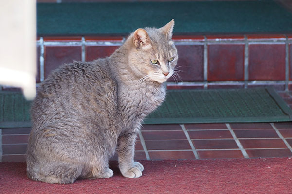 cipi sitting posture