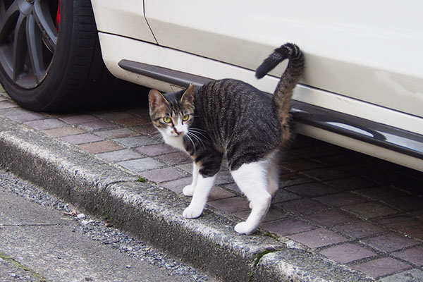 リンクス　向きを変える