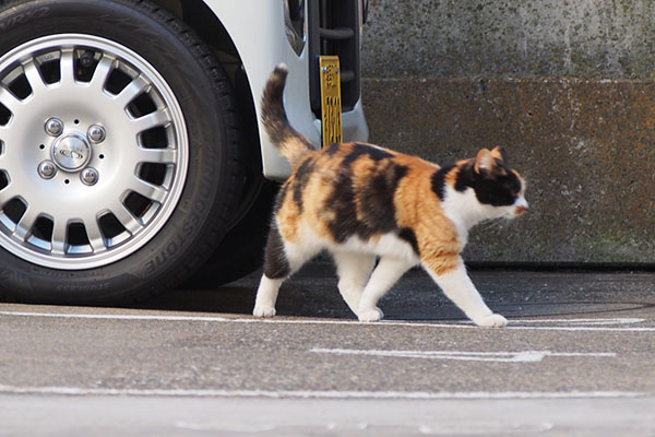 れもん　そっちか