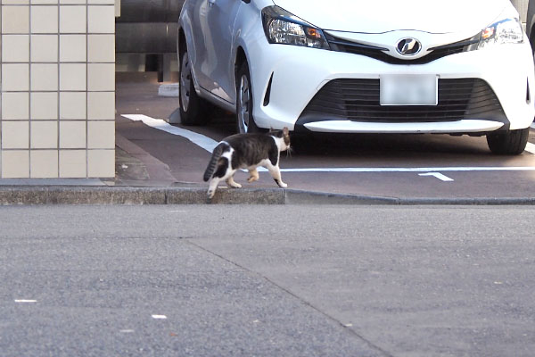 オンブレ　駐車場へ