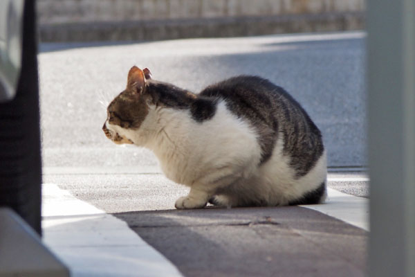 オンブレ　反対側から