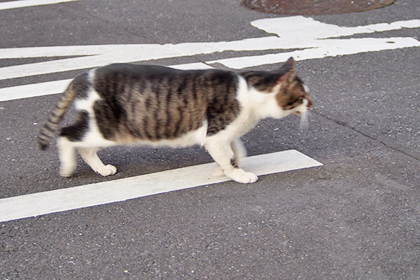 オンブレ　通り抜け