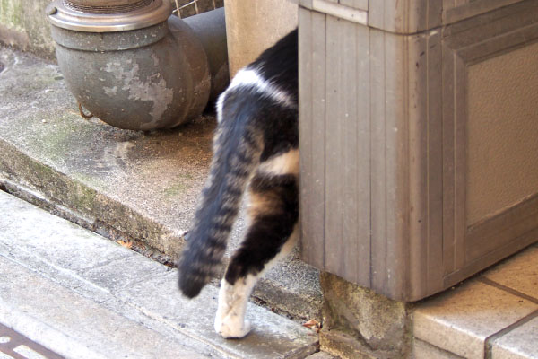 オンブレ　ビルの脇に消えて行く