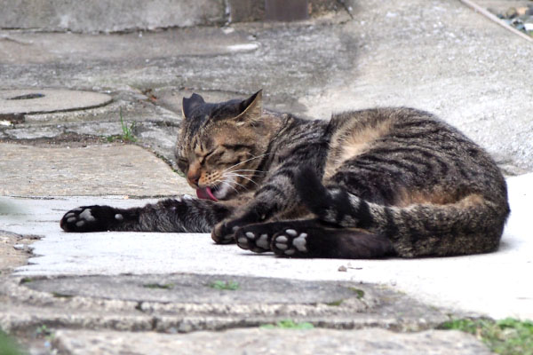 シマヲ　ゆったり過ごす