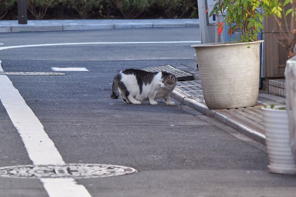 ケイ　戻った