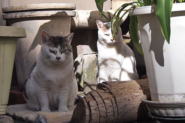 kei and aurora sitting