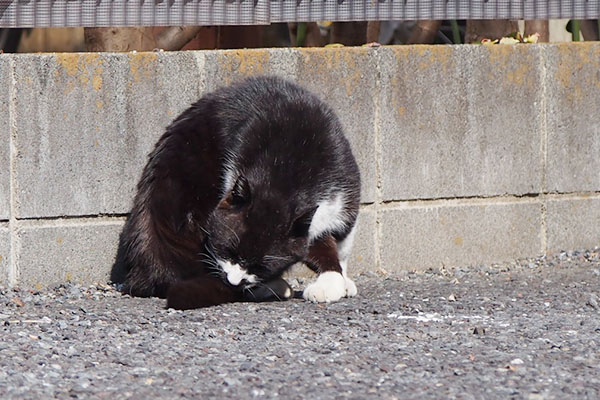 ブッチ　角度を変えた