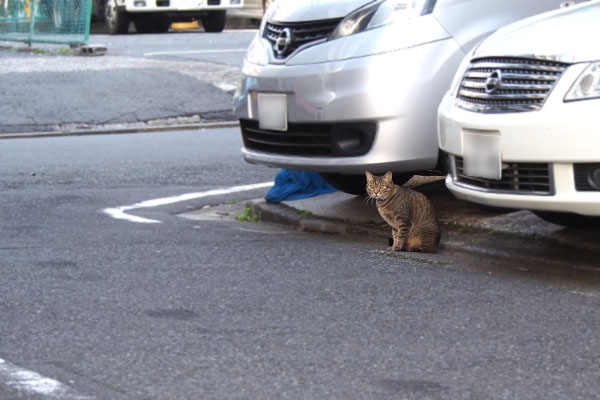 遠くにらい太