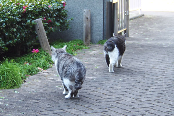 何気なく待つふたり