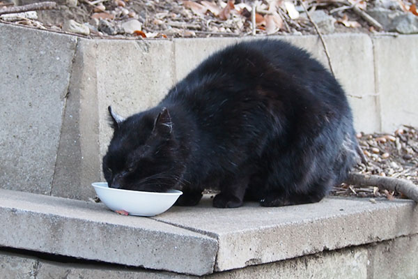 食べるクーロン