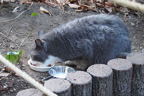 食べるオット