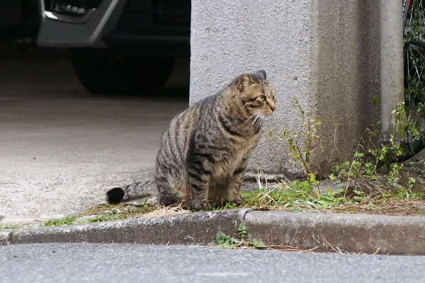 シマヲ　終わったかな