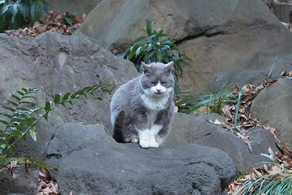 otto sitting