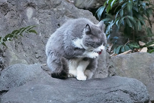 オット　また最初に戻る