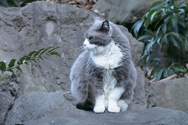 オット　タンタルが移動するのを見てる