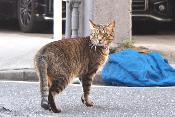 らい太　モノ太を見る