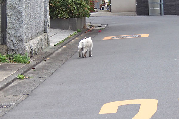 ライト　出てきました