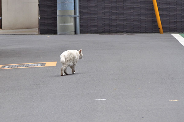 ライト　右の方へ