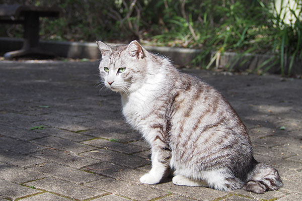 クロム　また向こう側を見る