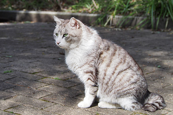 クロム　三度目