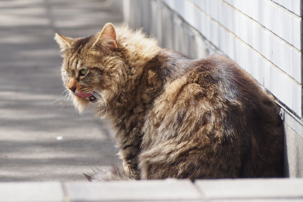 くり坊　無視するにゃ