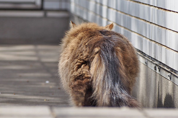 くり坊　立ち上がり
