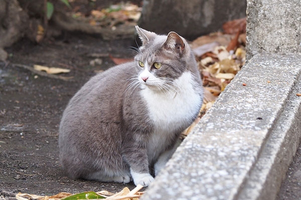 レックス　食べ終わる