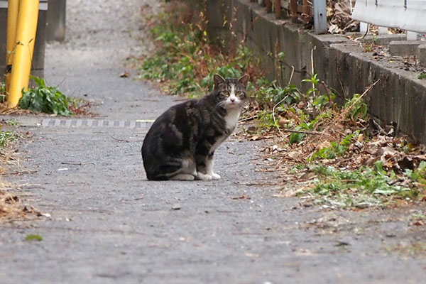 まるこ　座る