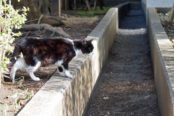 ポチ　出て来た