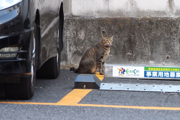 らい太　別の駐車場