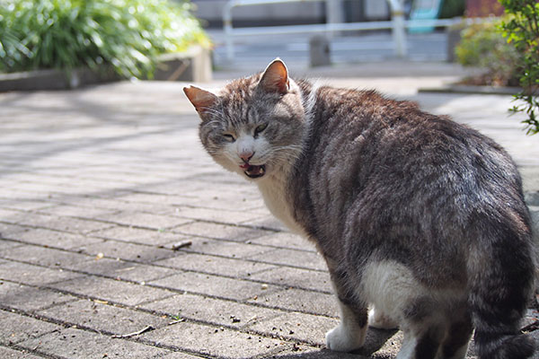 クロム　食べた食べた