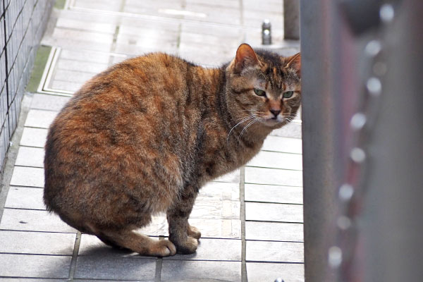 ヴェルデ　少し接近