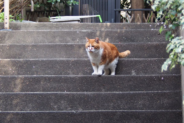 ムートン　なかなか行かない