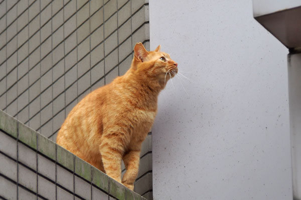 つぶ　気を取り直して