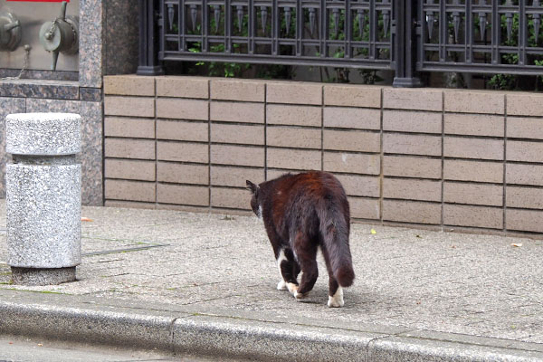 ブッチ　向こう側の歩道に