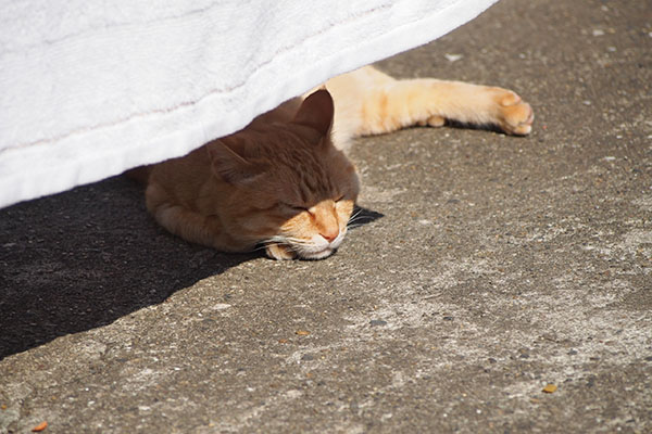 ソラちゃん　いいぞっ