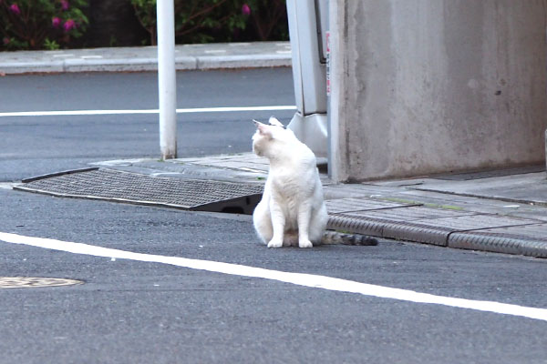 遠くにオーロラ