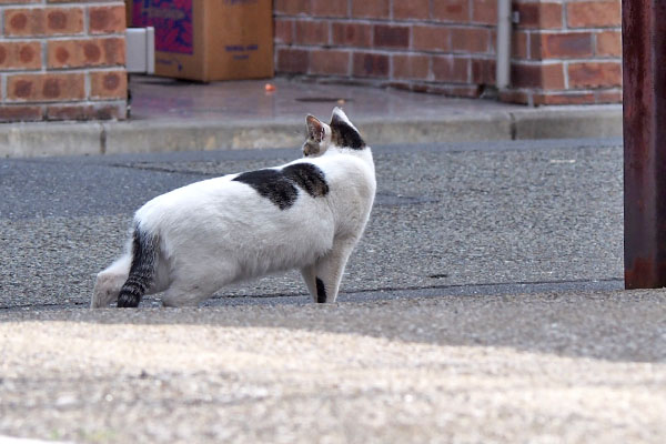 いつもの場所に行くか