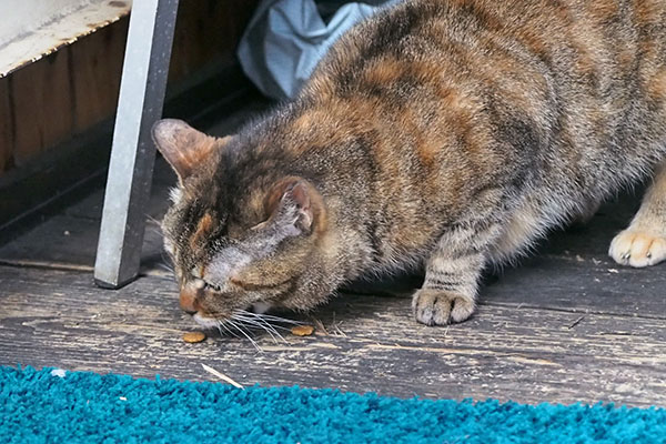 ヴェルデ　食べる