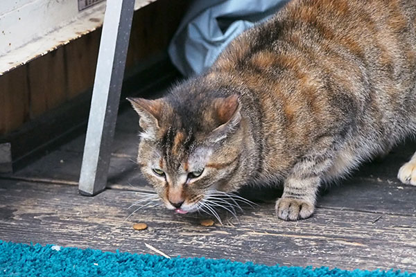 ヴェルデ　食べる２