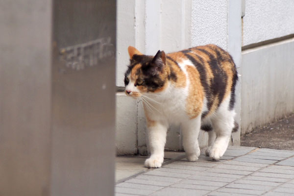 れもん　そこは会社の通用口