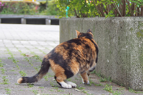 ミク　食べる場所へ移動