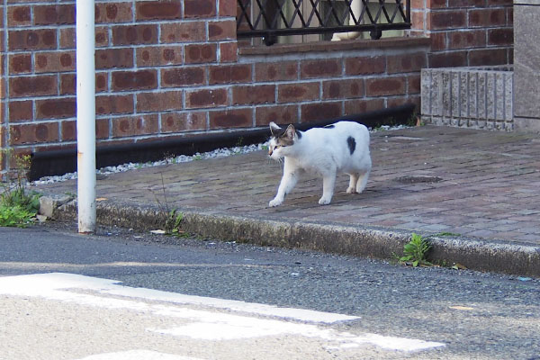 しろまる　食事場所へ