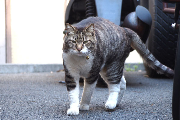 リオ君　来てくれる