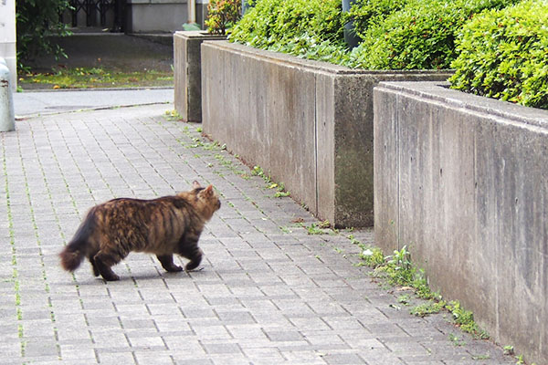 くり坊　公園へ