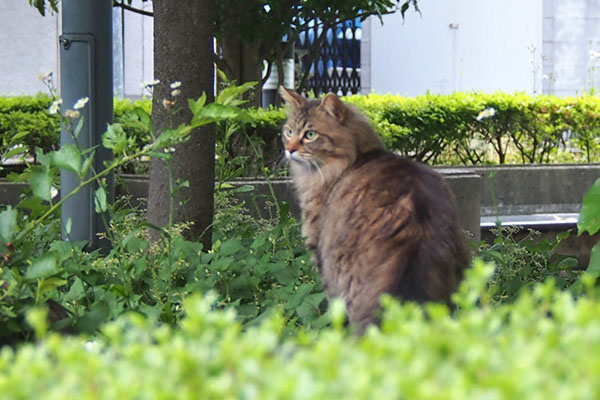 くり坊　一旦座る