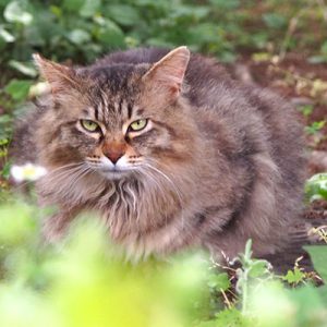 停止したら少し目開いた くり坊
