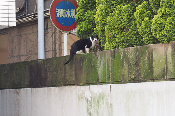 まこ　上に行く途中