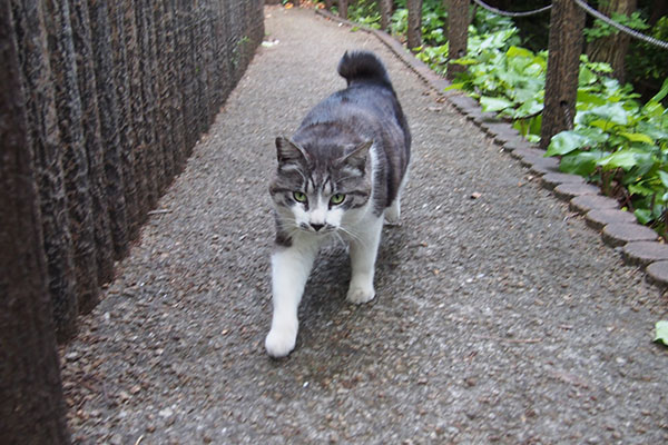 タンタル　すぐそこに